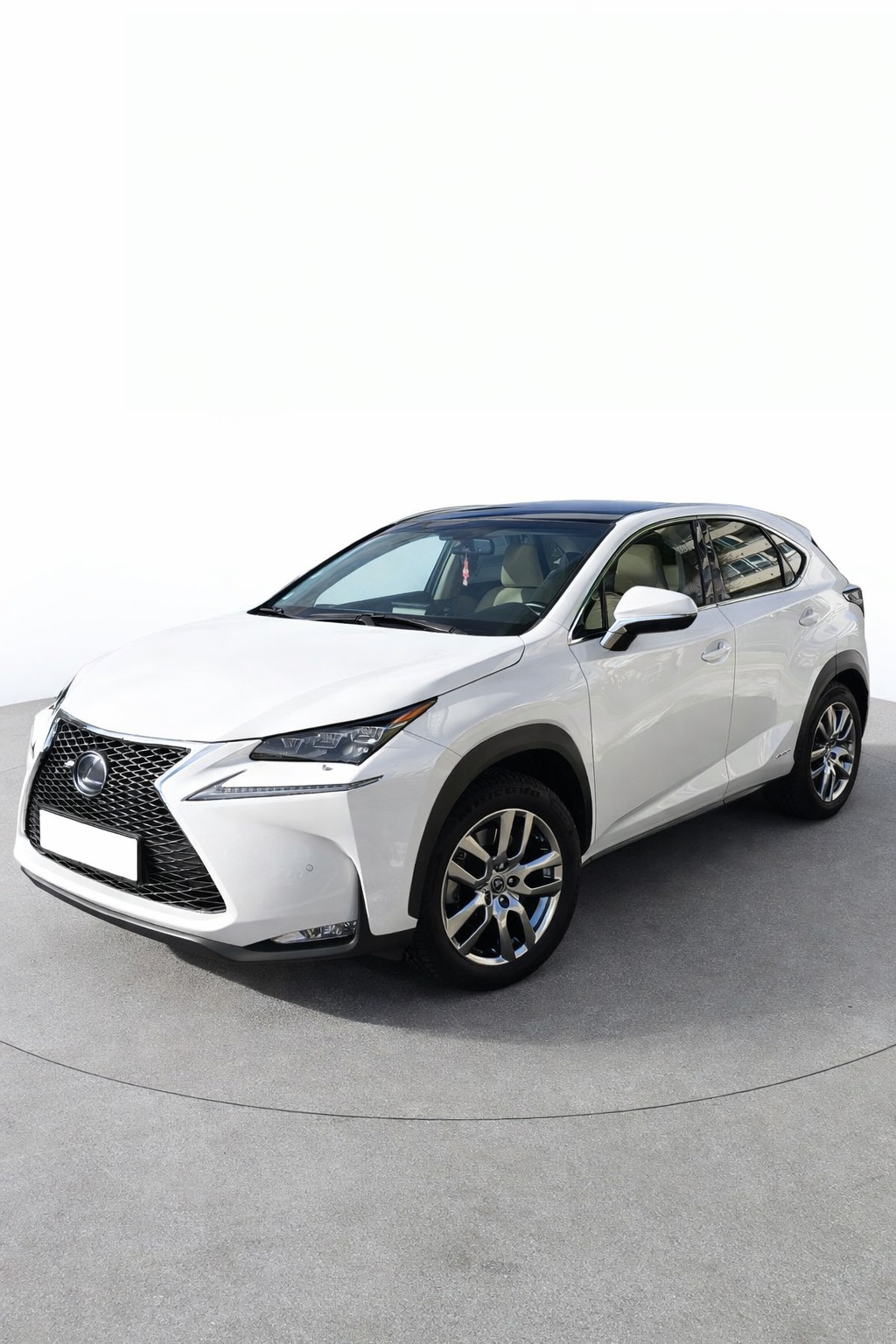
Lexus NX300H full									